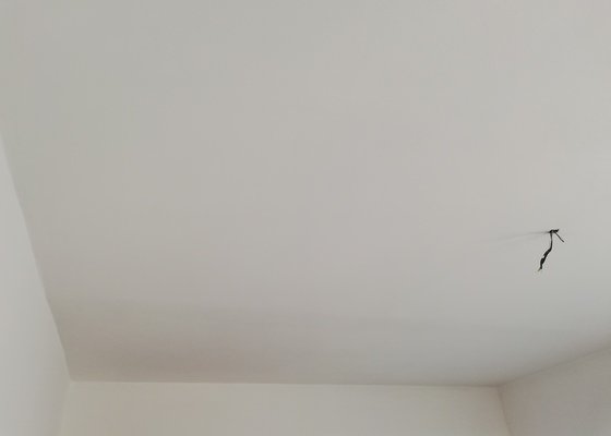 Renovace stropu (2 místnosti)