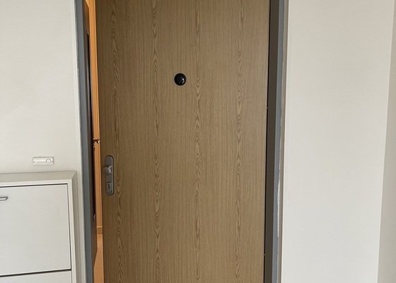 Oprava vstupních dveří