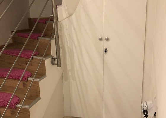 Dveře pod schody