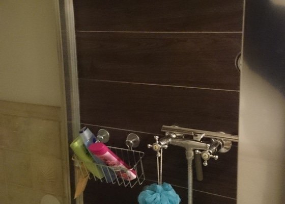 Rekonstrukce koupelny, výměna sprchového koutu